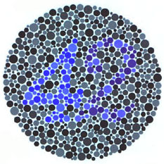 test ishihara 23 red blue switched